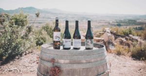 Visites i tast al celler Frisach