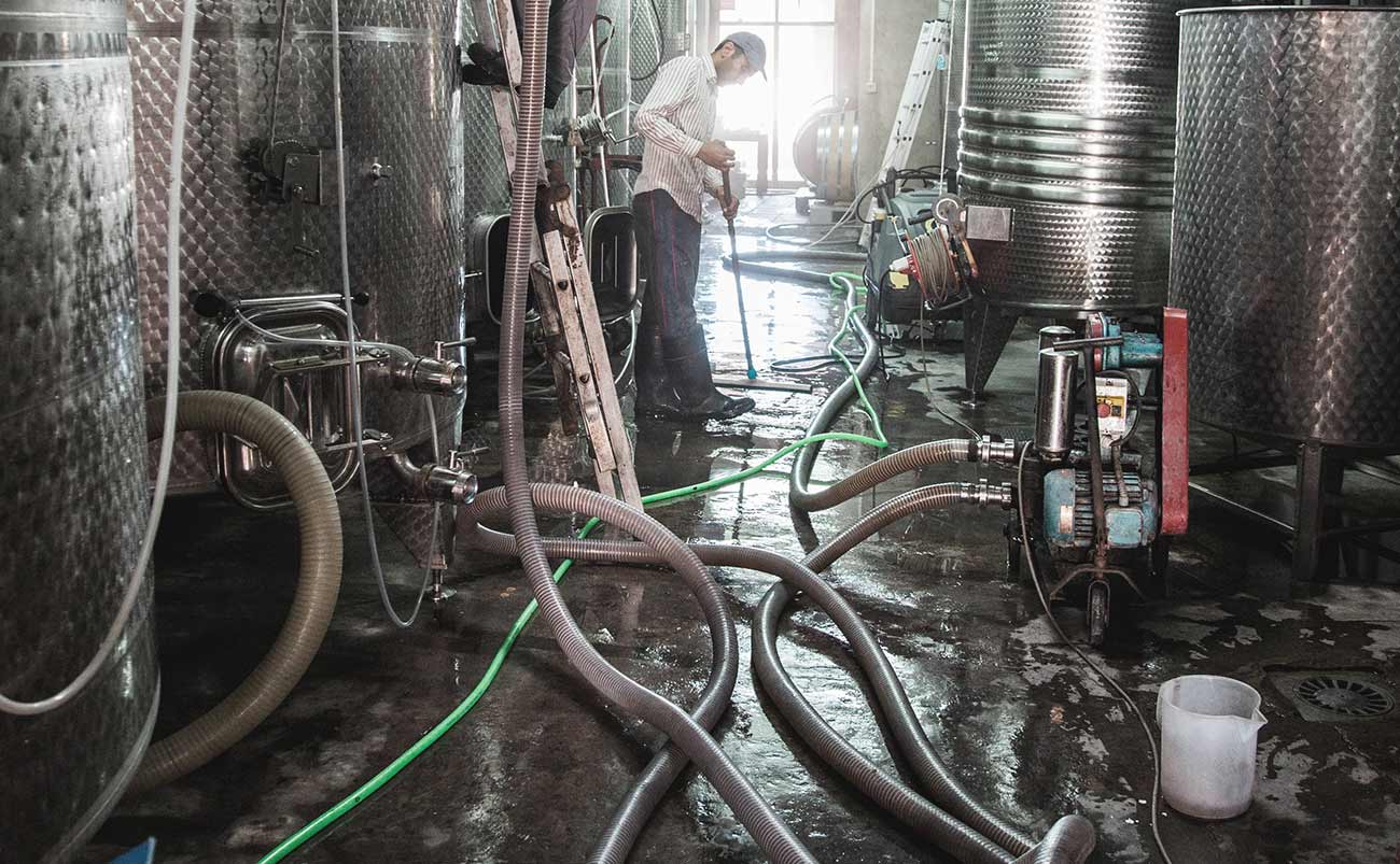 Wine celler Frisach Terra Alta