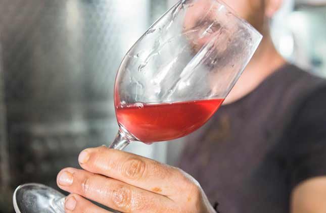 Celler Frisach wine cellar Terra Alta